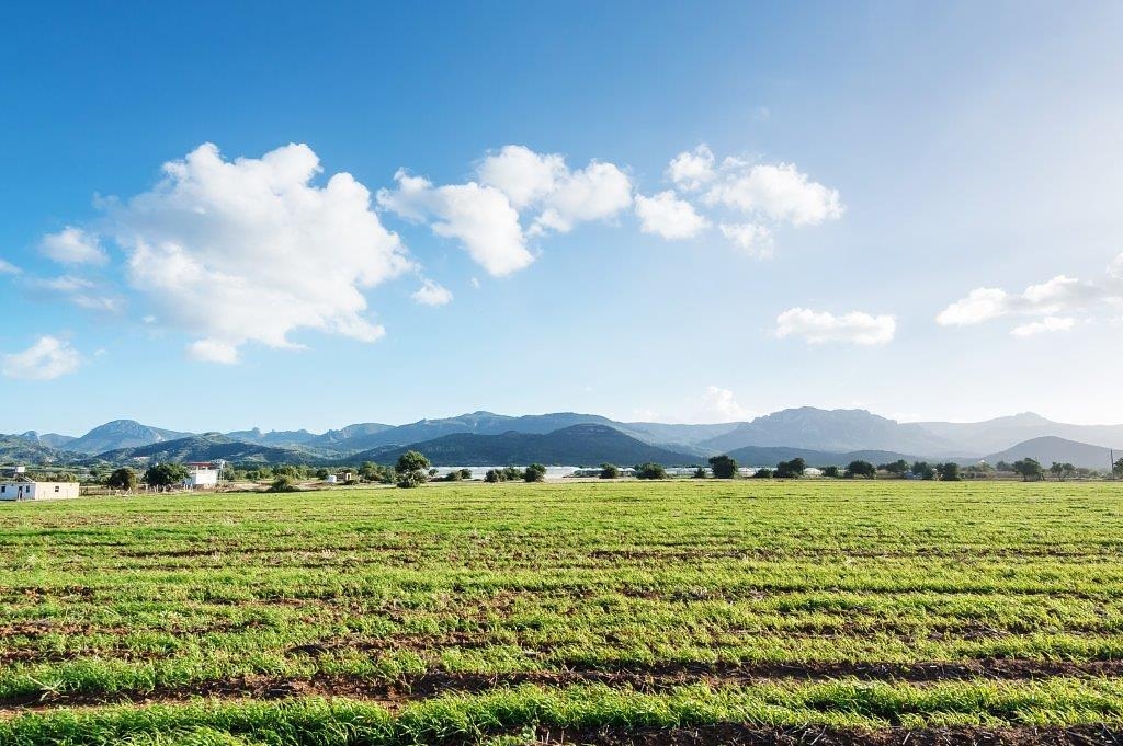 Изображения объекта недвижимости 4