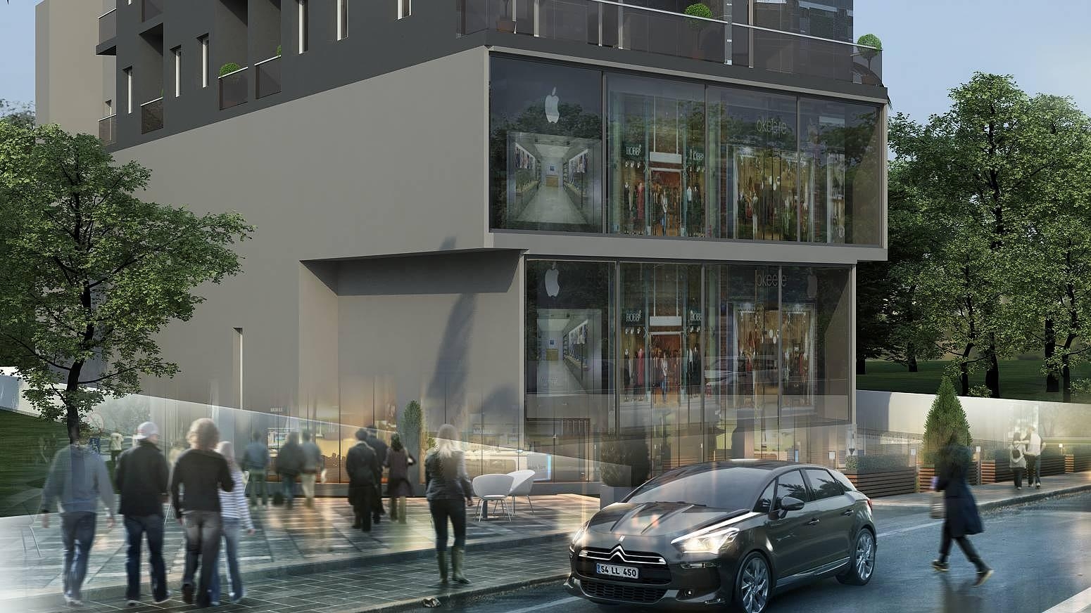 Nuosavybės vaizdas 4