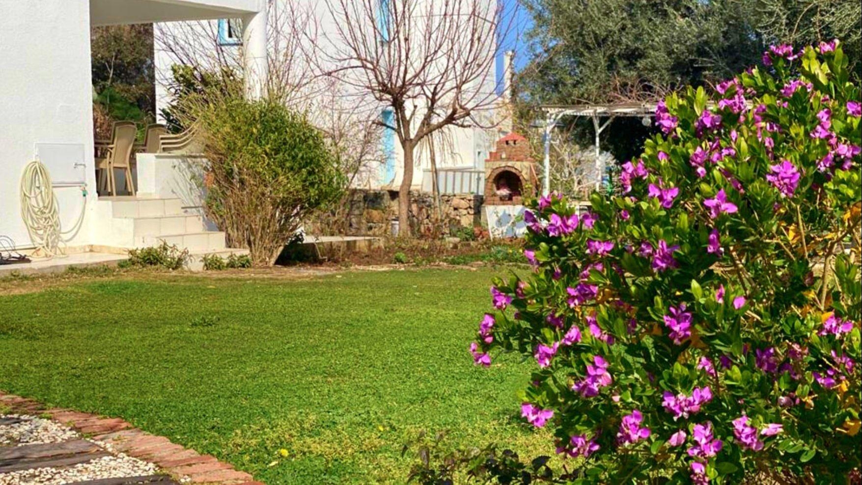 Zdjęcie nieruchomości 3