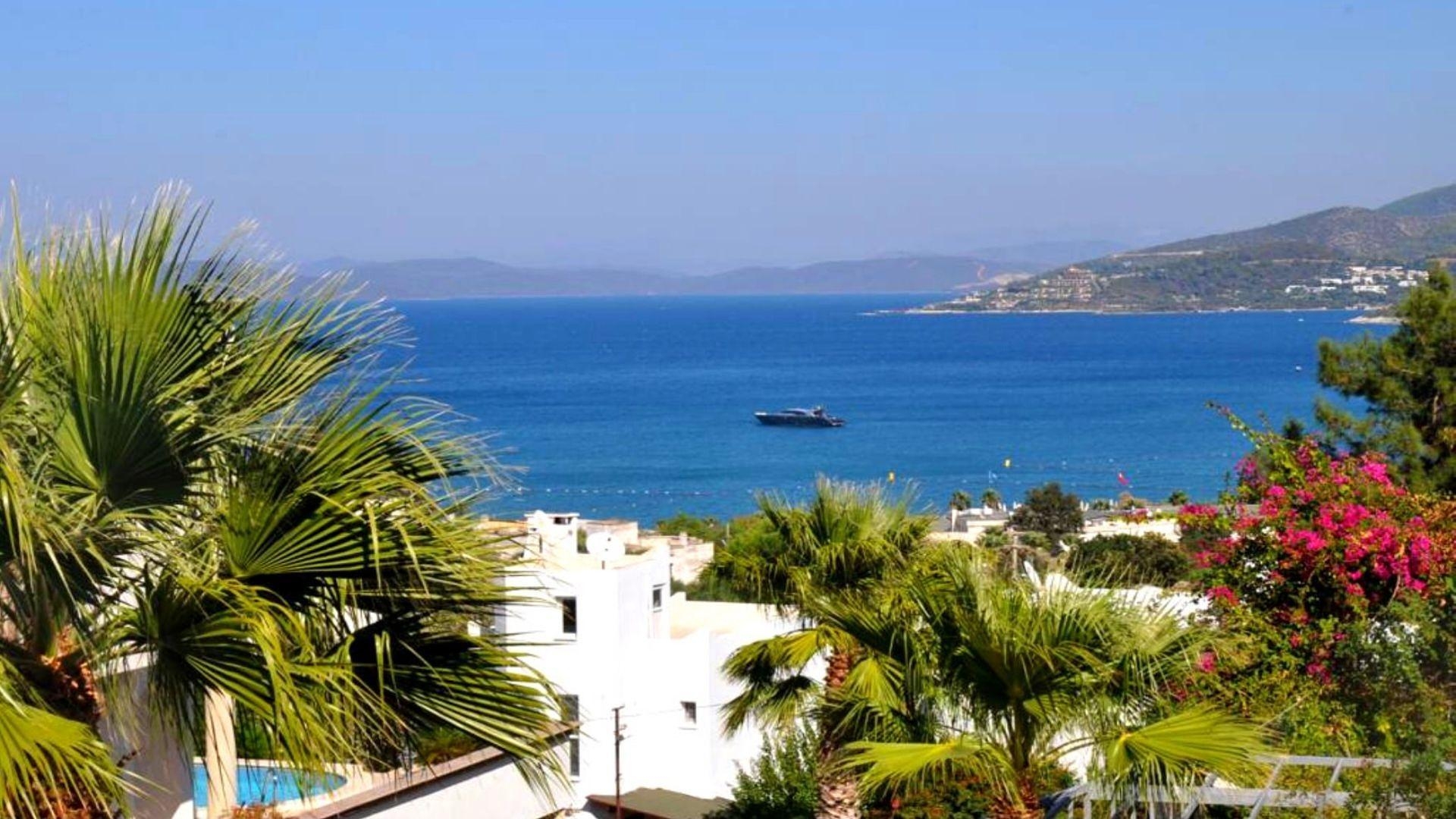 Zdjęcie nieruchomości 3