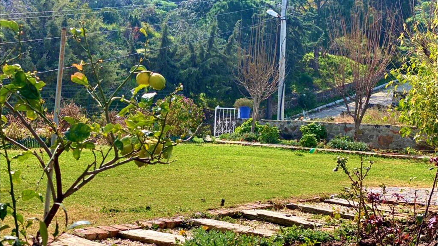 Zdjęcie nieruchomości 4