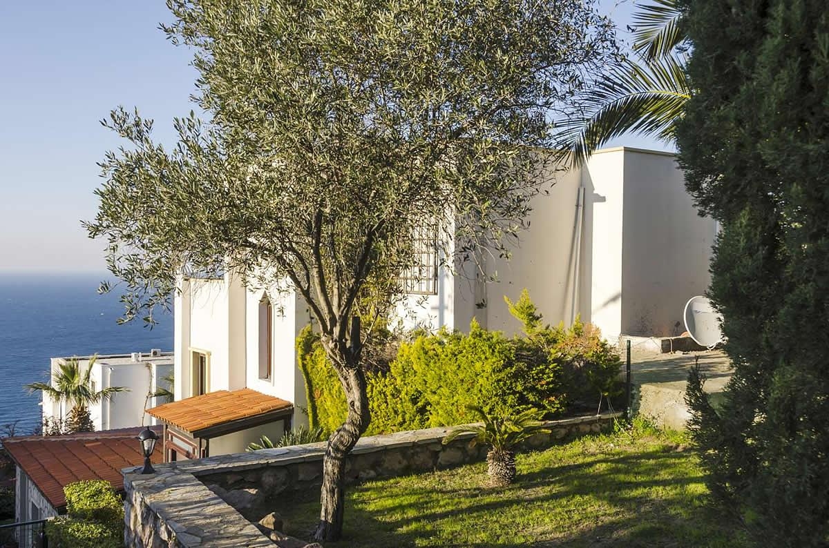 صورة العقار 3 