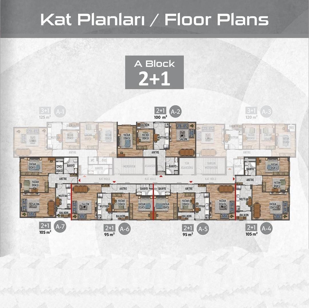 Floor Plan Image 5