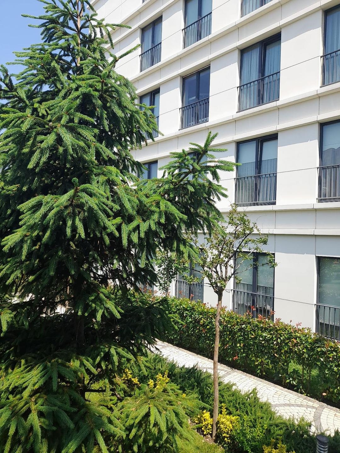 Мүлік суреттері 4