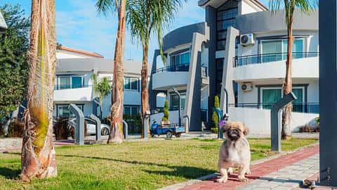 Charmant appartement d'une chambre à Alsancak, Chypre du Nord — 3/21