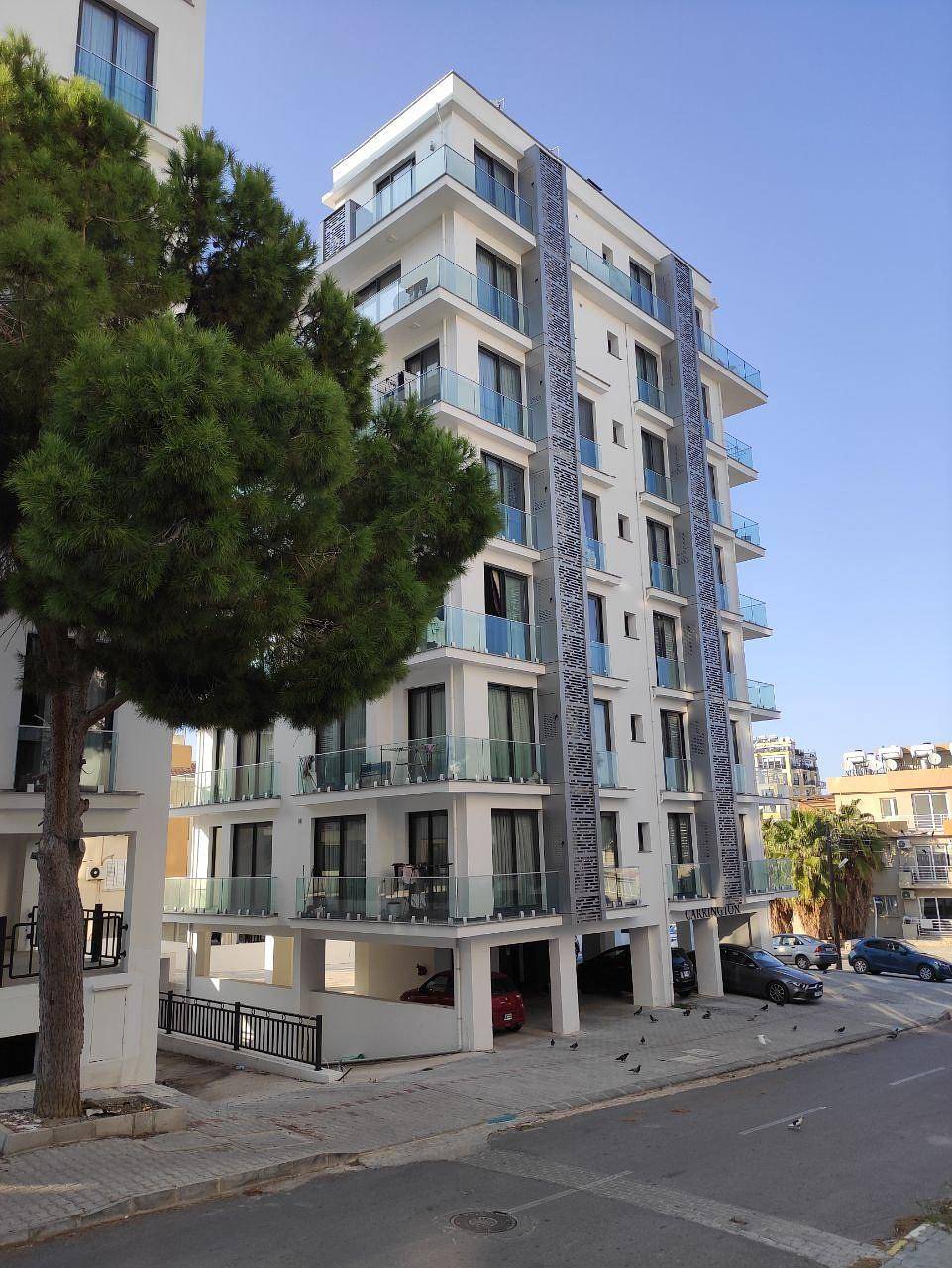Property Images 4