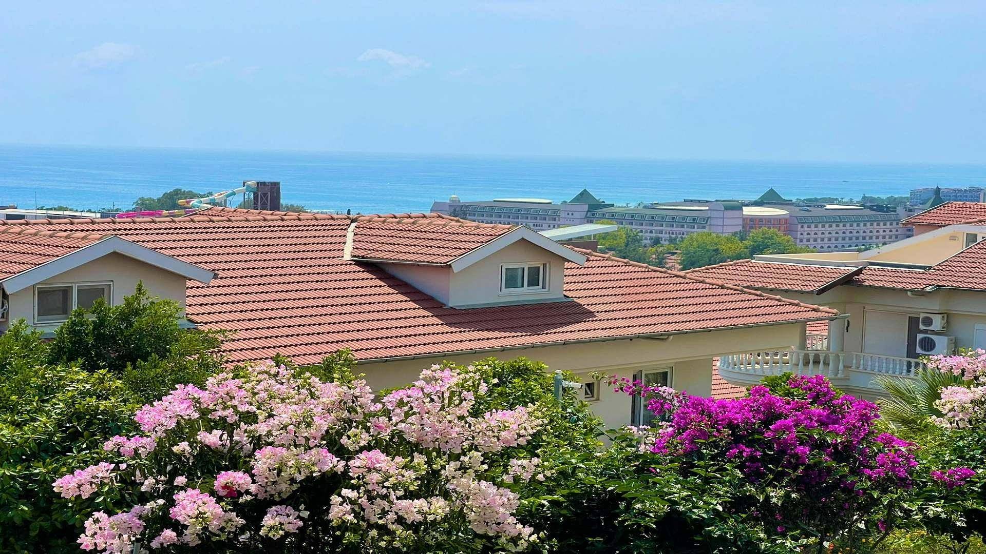 Property Images 4