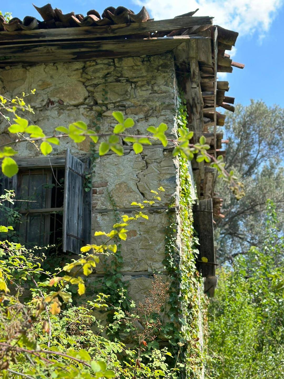detail.propertyImage