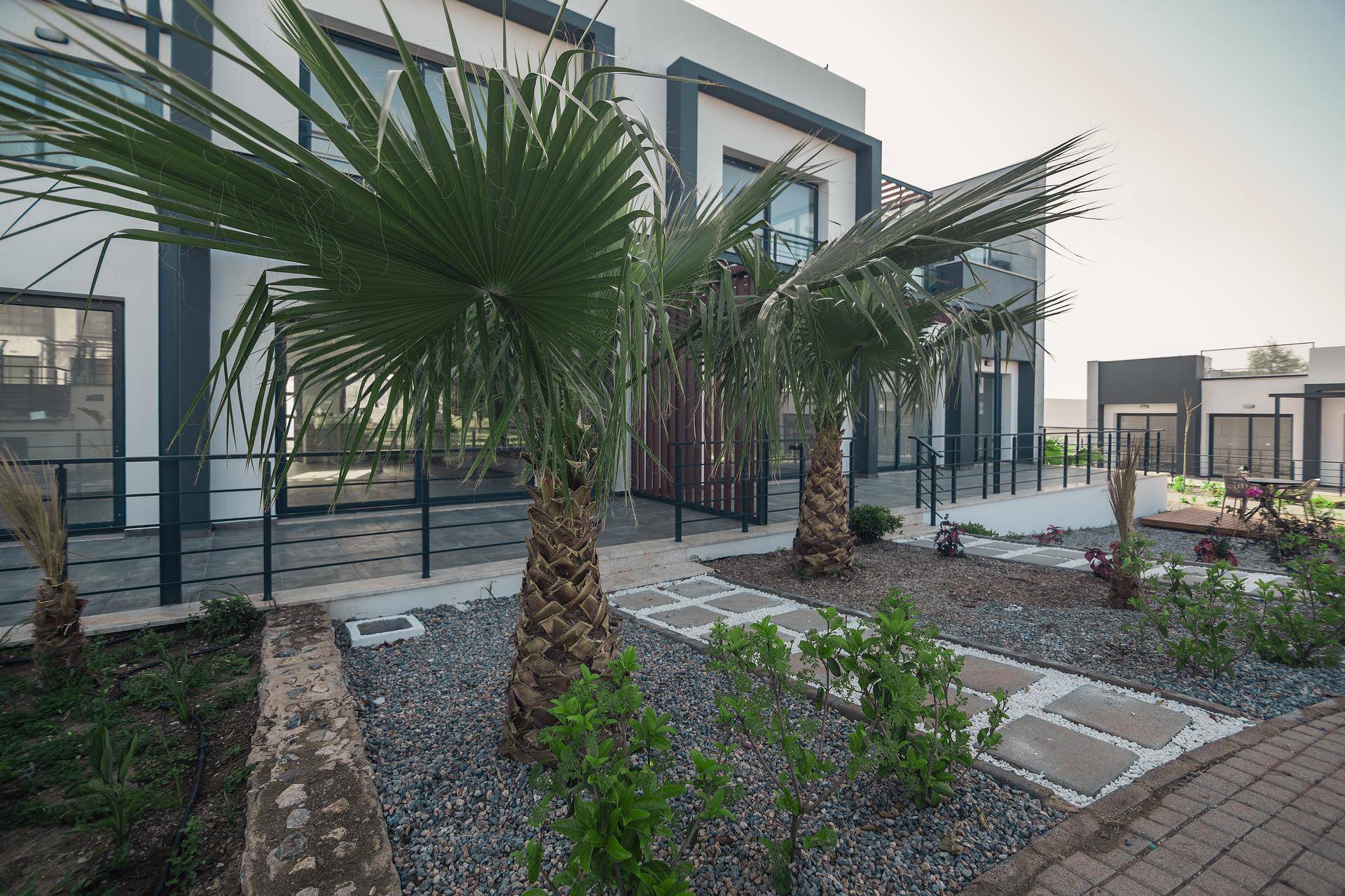 Property Images 3
