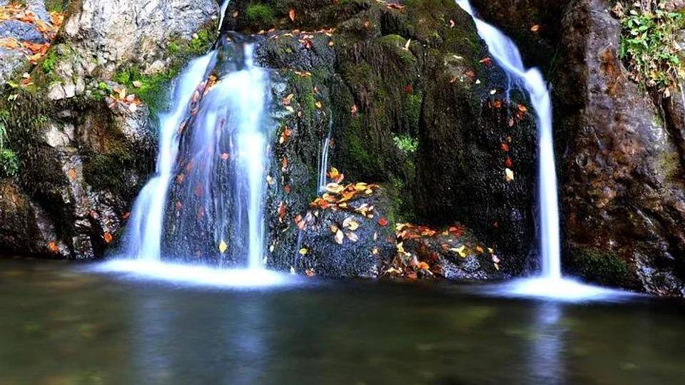 Yenice, der umfangreichste Wald der Türkei