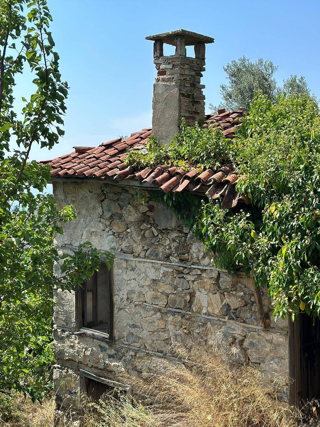 Property Images 3