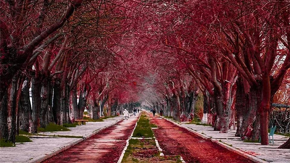 Digital Campaign “Turkey Home” Has Reached 6.9 Million Followers!