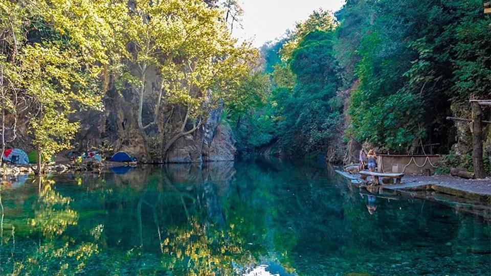 CAMP ON WATER AND TREES ALONGSIDE THE BEAUTY OF GREEN VALLEY