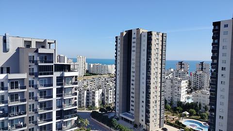 Таслими мол