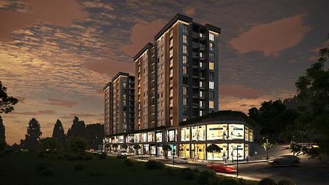 پراپرٹی کی تصویر