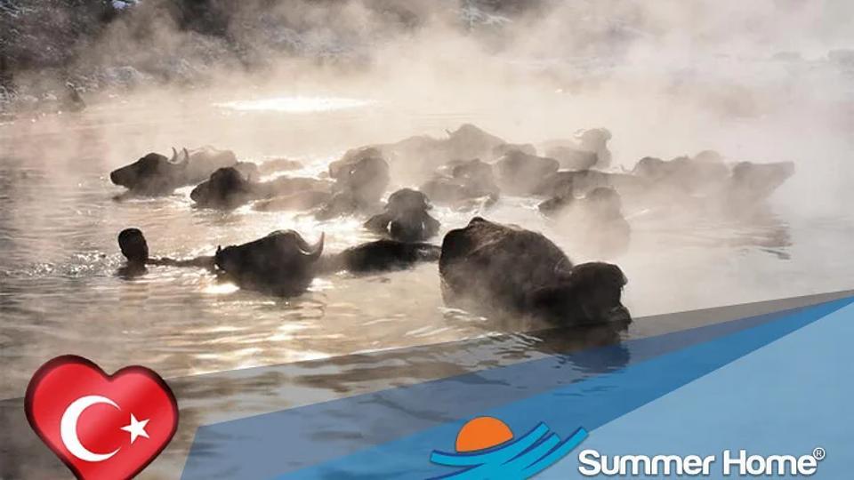 Welcome to Bitlis, Budakli