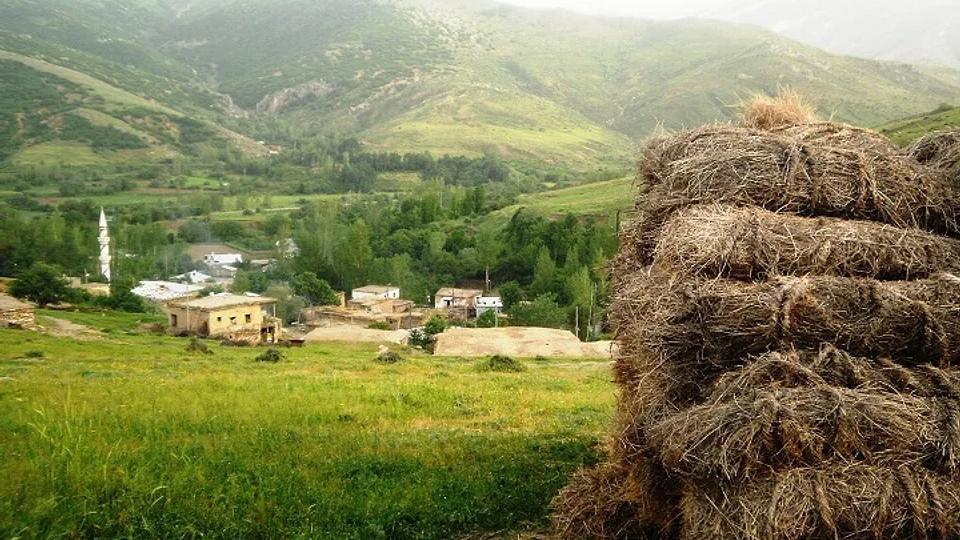 The Traditional Cheese in Kavar