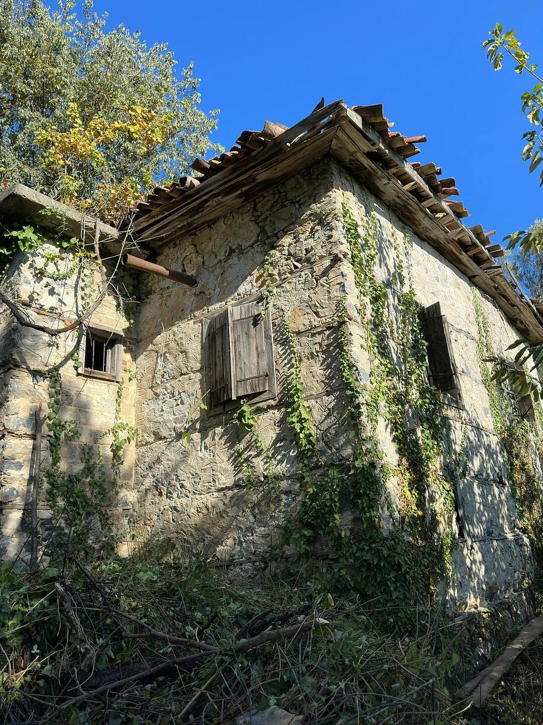 Property Images 3