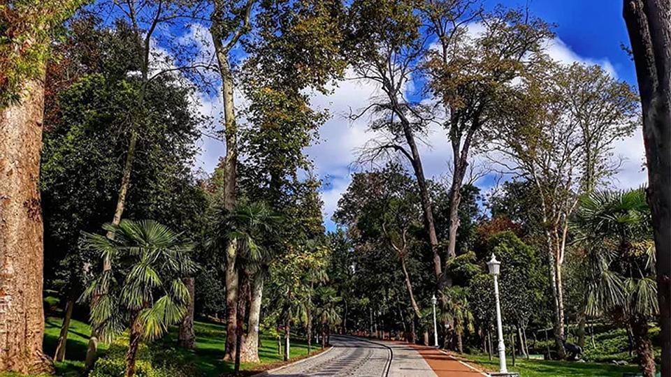 Rajskie miejsce w samym sercu Stambułu: Yıldız Park