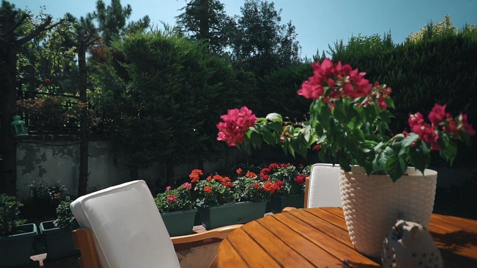 Image de la propriété 3