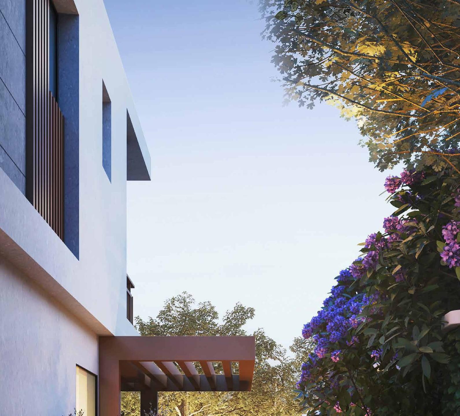 Immobilienbilder 2