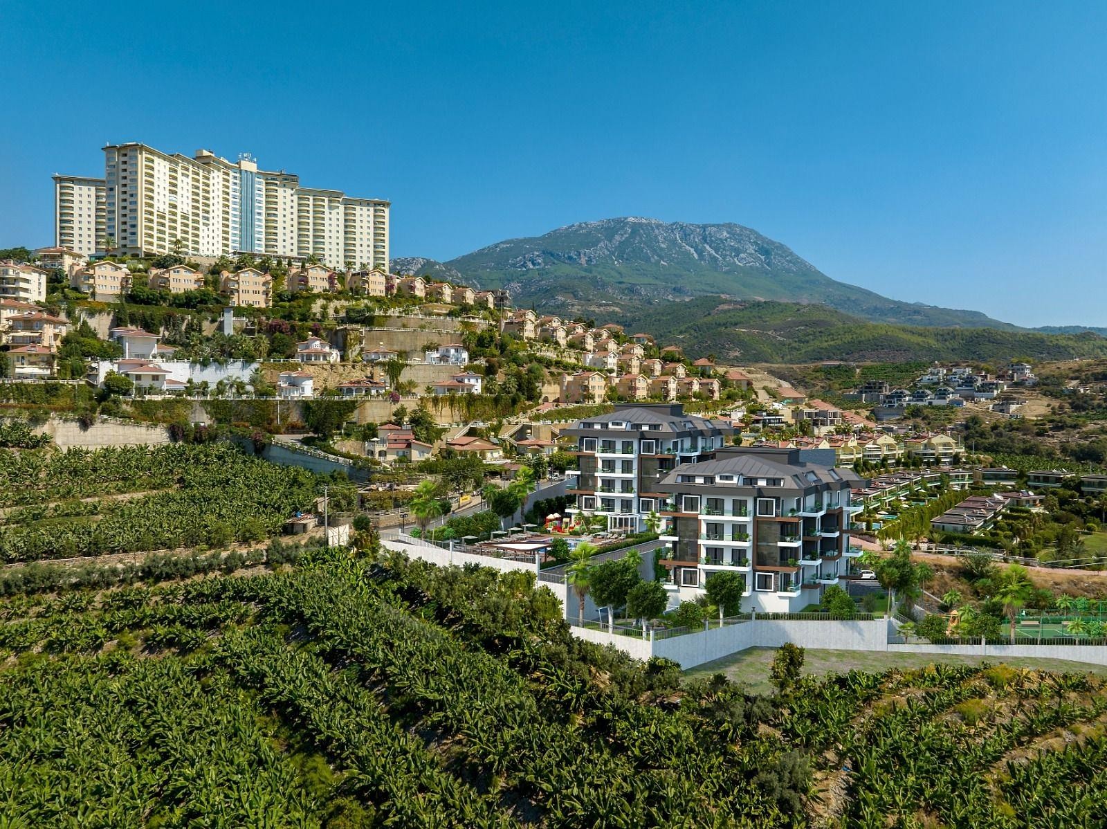 Property Images 4