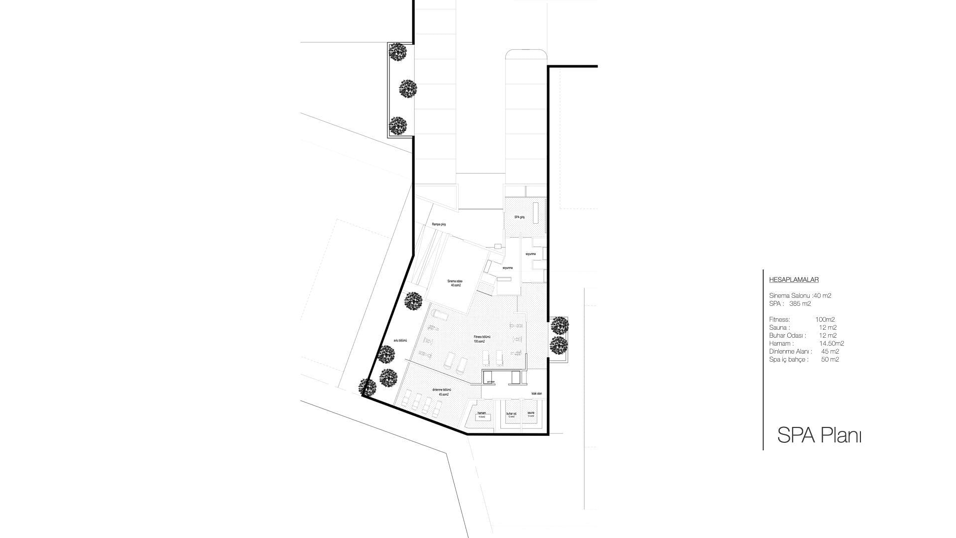 Aukšto plano vaizdas 13