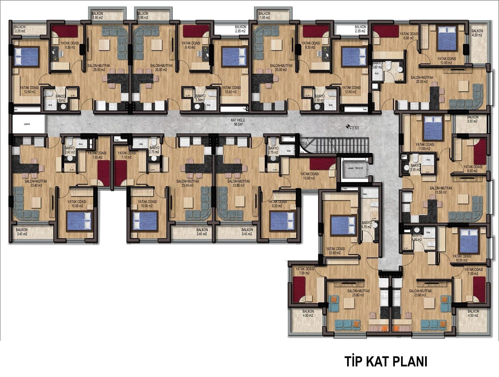 Image du plan d'étage 5